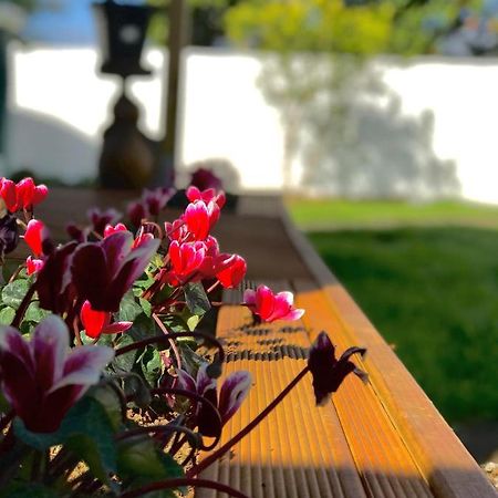 Onehunga Garden Tinyhouse With Parking Hotel Auckland Bagian luar foto