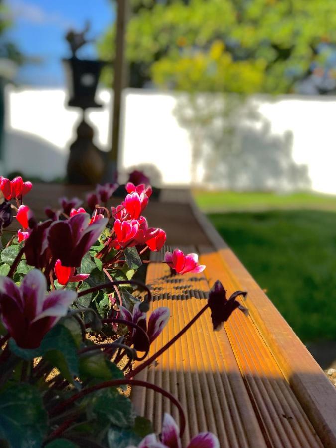 Onehunga Garden Tinyhouse With Parking Hotel Auckland Bagian luar foto